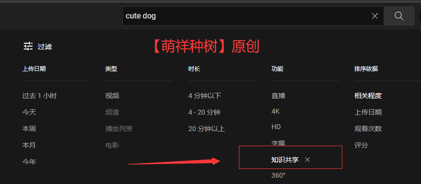 视频自媒体不做视频月入00美元在Youtube复制粘贴赚钱的方法如何在家赚钱做副业兼职创业-萌祥种树持续更新