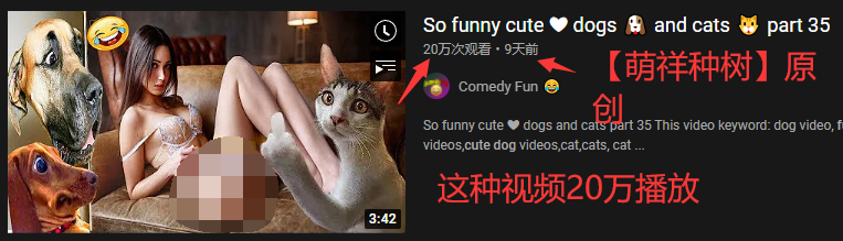 视频自媒体不做视频月入00美元在Youtube复制粘贴赚钱的方法如何在家赚钱做副业兼职创业-萌祥种树持续更新