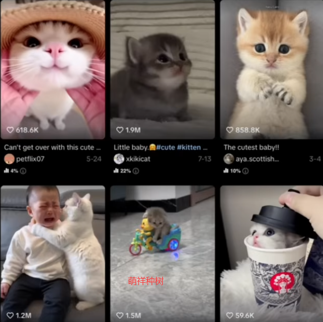 YouTube短视频月3.6W美元不露脸AI半自动化，社恐人士福音，不依赖口才