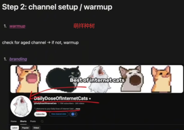 YouTube短视频月3.6W美元不露脸AI半自动化，社恐人士福音，不依赖口才
